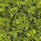 Faux Moss Mat by Ashland&#xAE;